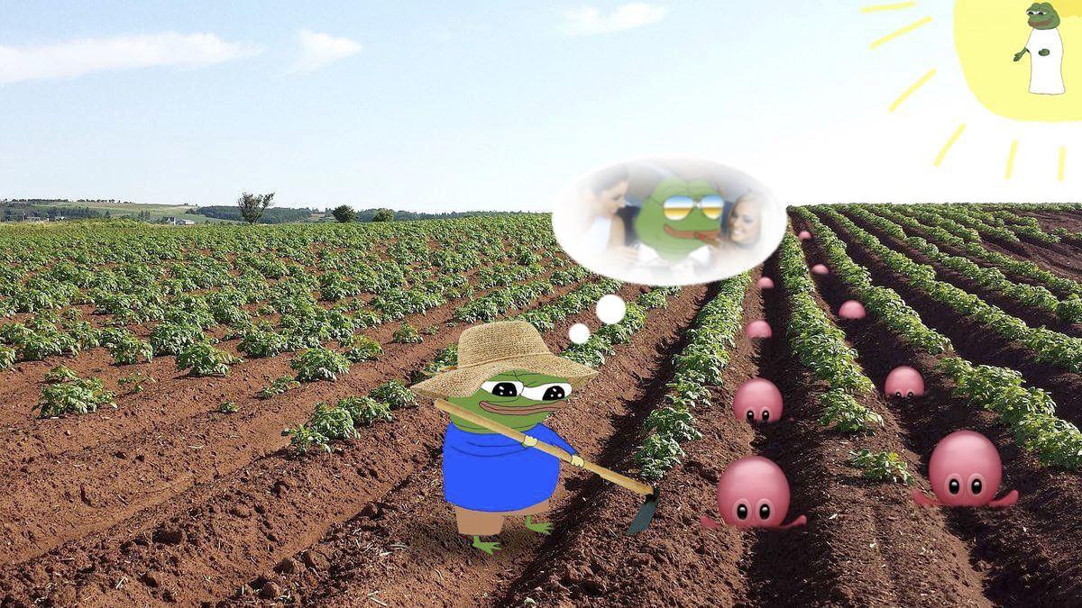 OCTO-USDC Liquidity Provider rewards are back!